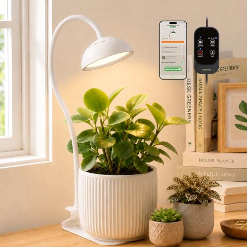 GLOWRIUM Smart Grow Lights for Indoor Plants,Full Spectrum Desk Plant Light