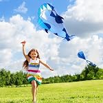 Shyllin – Riesen Drachen für Kinder, Shyllin Drachen für Erwachsene, S