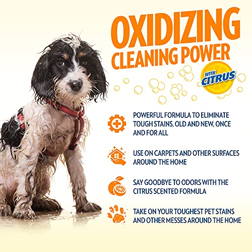 OUT! PetCare Orange Oxy Stain & Odor Remover Oxy Clean Pet Stain and