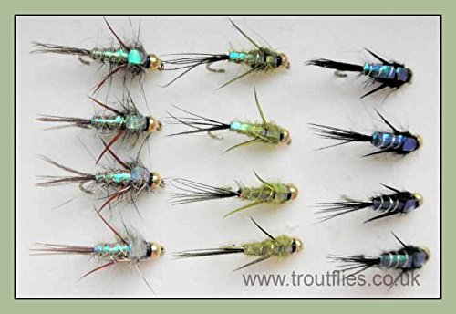 Evil Weevil Trout Flies, 12 Pack Gold Head Olive, Black & Natural, Mixed 10/12