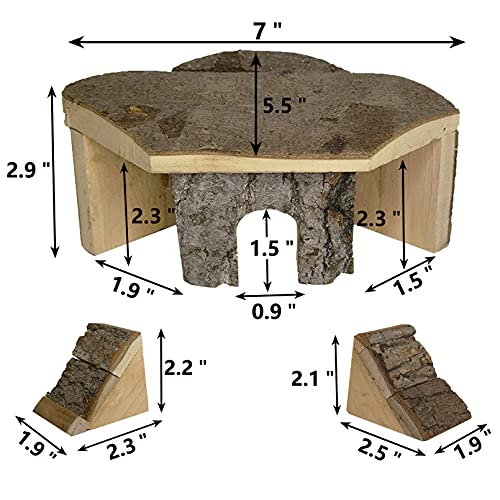 The 29 Best Small Animal Habitat Décor of 2023 [Verified] Cherry Picks