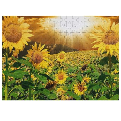 F z  Ђ܂ ؐpY pY y mߋ XgXy  WO\[pY   Ǐ av[g SҌ q l 200 PCS