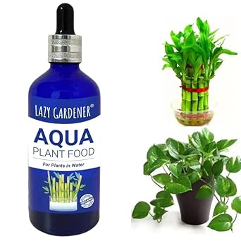 Lazy Gardener Aqua Plant Food - Liquid fertilizer for Lucky Bamboo & Liquid fertilizer for Money Plants - Liquid Fertilizer for all Aquatic Plants (in Water) - 100 ml