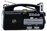 QFX R-30U AM/FM/SW1-SW2 Radio