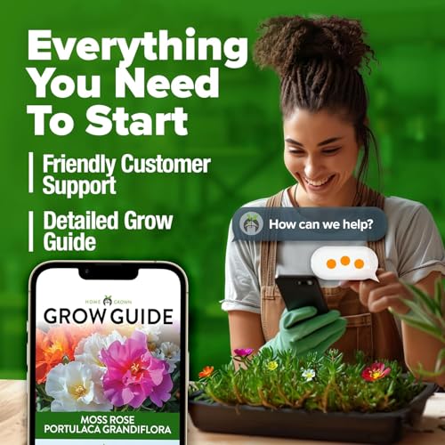 Image of HOME GROWN 47000+ Moss Rose Seeds (Bulk Pack) Annual Flower for Ground Cover - Heirloom Non-GMO Portulaca Seeds for Planting Outdoors - Great for Low-Maintenance Gardens (Portulaca grandiflora)