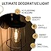 Hudson Bulb Co. Vintage Incandescent Edison Light Bulbs, 60W, E26/E27 Base, 2100K Dimmable Decorative Lights, ST58 Style Warm Glow, Antique Spiral Filament for Outdoor and Indoor Use - 6 Pack