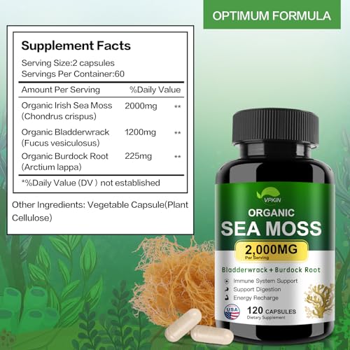 VPKIN Organic Sea Moss Capsules with Bladderwrack & Burdock (120 ct) — view 3