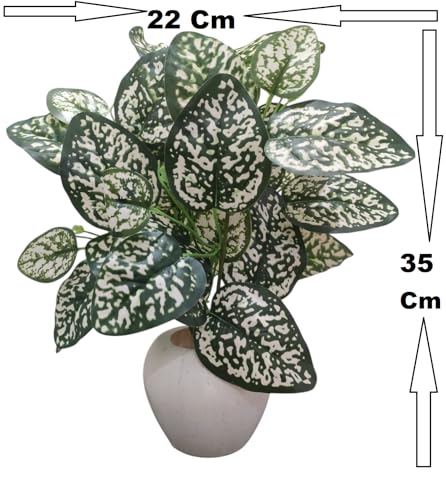 Image of Artificial Money Plant /Tree with Pot, White-Green | Natural Looking, Ornamental Plant, Interior Decor, Home /Shop /Office Decor