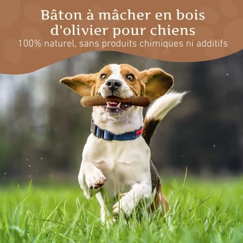Wildfang® Jouet à Mâcher en Bois d'olive pour Chien, Jouet de Dentition pour Chiot, Bâton à Mâcher Naturel, Os en Bois pour Chien – M – Image 3