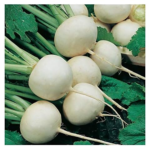 PREMIER SEEDS DIRECT Turnip Seeds - Snowball Cover