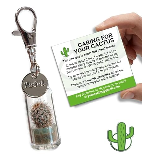 Yetti Mini Cactus Gift Keyring - Living Plant Keychain (Tiger) - Tiny Plant Gift for Cactus Lovers