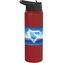 Superman 2025 Movie Fortress of Solitude Take Me Home Stainless Steel Insulated Water Bottle