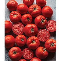 Burpee Big Girl Tomato Burpee 'Early Pick VF' Hybrid | Red
