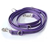 Activity4Dogs Anti-Slip Hundeleine aus Nylon | rutschfest | 2,80 m lang | 4-Fach verstellbare Führleine | für mittelgroße und große Hunde | Lila | Made in Germany