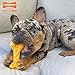 Nylabone Cheese Bone Power Chew Toy for Dogs, Cute Dog Toys for Aggressive Chewers, Cheese Flavor, Medium Dogs - Up to 35 lbs, 1 Count