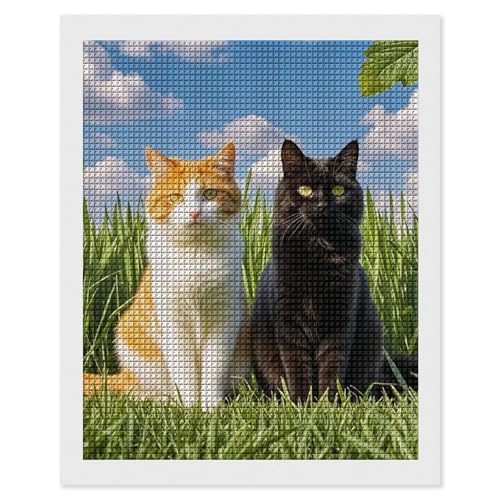 Kit peinture diamant 5D chat maccbn idée cadeau artisanal et original pour adultes créatifs