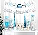 Winter Baby Shower Decorations Baby Its Cold Outside Banner Snowflake Cake Toppers for Wonderland Baby Shower Birthday Party Supplies Blue