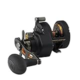 Penn Unisex'S Fathom II Star Drag Reel, 7 Brg, 6.1.1, Rnd,420/30#, Multi, One Size - Image 2