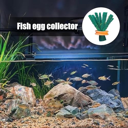 Fischlaichmopps – Aquarienpflanzen gebündelt, eierlegendes Fischzuchtwerkzeug | 10PCS Verschleißfestes Zuchtbett für Fischeier, Fischzuchtzubehör für Aquarien, Fischzuchtschiefer für Jungtiere