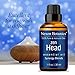 Nexon Botanics Zen Head Essential Oil Blend 30ml - Natural Headache Relief and Migraine Relief - Best Headache Essential Oil