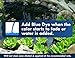 Sanco Industries KoiWorx Blue Dye - Ornamental and Decorative Pond Dye, Water Features and Fountains, Safe for Koi - 1 Quart
