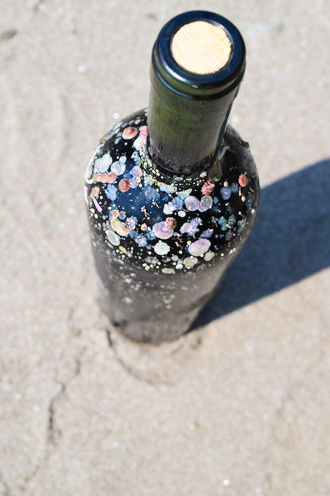 Amazon.co.jp: 西伊豆海底熟成ワインVOYAGE【モンテプルチャーノ