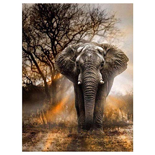 YINUODAY 5D Diamond Painting Kits for Adults, Full Drill Crystal Rhinestone Diamond Embroidery Pictures Art Kits for Home Wall Decor Wall