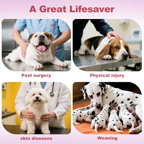 Image of CuteBone Recovery Suit for Dogs Cats After Surgery, Prevent Licking Dog Onesies Pet Surgery Recovery Suit Shirt Abdominal Wounds Bandages SSF10S