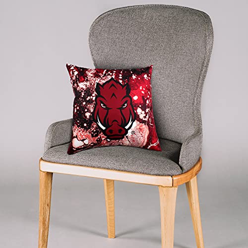 Image of Arkansas Razorbacks 2 Sided Color Swept Decorative Pillow, 16 inch, Made in The USA