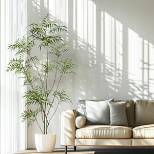 Artificialmahoniafortuneitree82intallfaketreesforindoorlargemahoniafortuneiplantswithwhiteplanterforhomedecorandhousewarminggift Urban Country Home Decor Artificial mahonia fortunei tree 82in tall fake trees for indoor large mahonia fortunei plants with white planter for home decor and housewarming gift urban country home decor