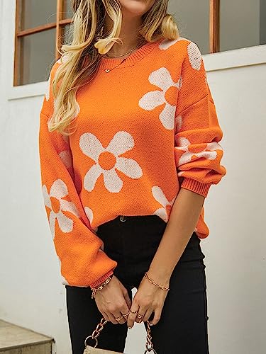 ECOWISH Women's Sweater 2025 Fall - Long Sleeve Crewneck Tops Knit Oversized Pullover Casual Print Jumper2