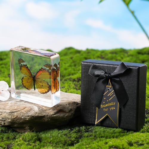 1St Heaven BUTTERFLY DECOR - 18 Taxidermy Butterfly, Real Butterfly Specimen In Resin - Butterfly Paperweight thumb #1