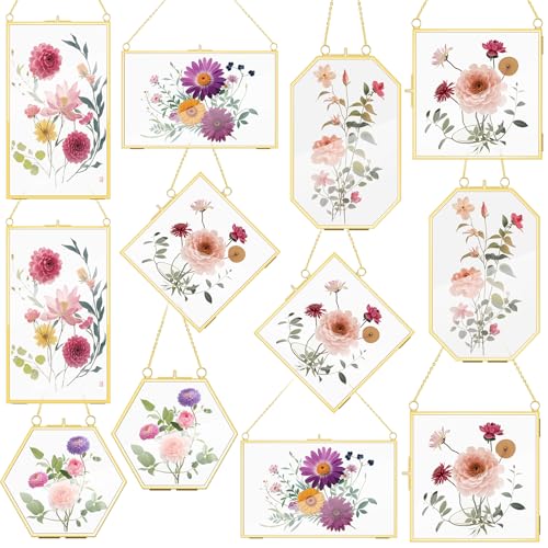 OINETRK 12 Pcs Brass Glass Frame for Pressed Flowers with Chain Clear Double Glass Floating Artwork Display Frame for Photo Gifts Wall Decor with Dried Plant Leaf, 6 Shapes