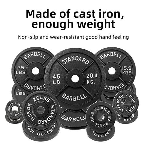 BOLUX Cast Iron Olympic Weight Plates – Free Weights with 2-inch Hole & Anti-Rust Hammertone Finish - Ideal for Strength Training, for Muscle Toning, Weight Loss & Crossfit–Sold in Pairs - 2.5LB–10LB (2.5LB-Pair)
