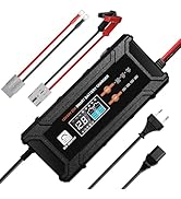 ECO-WORTHY 12V/24V 20A LifePO4 Lithium Battery Charger 14.6V Automatic Smart & Maintenance with A...