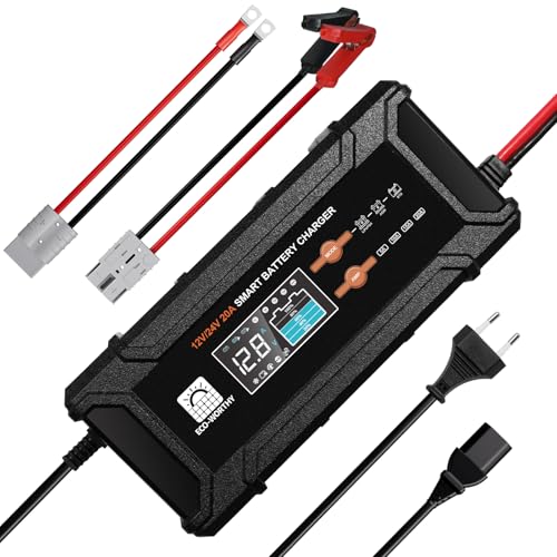 ECO-WORTHY 12V/24V 20A Chargeur de Batterie LiFePO4 avec Options Multi-Courant...