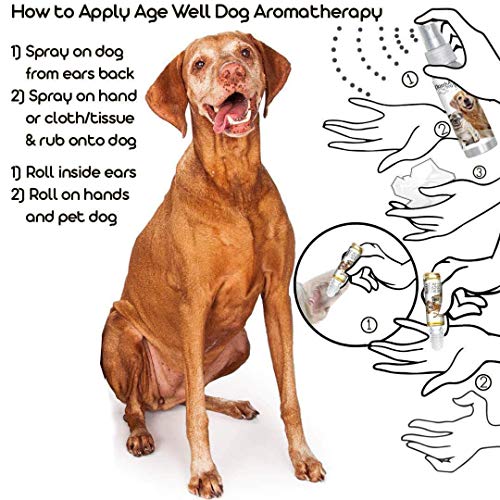 Image of The Blissful Dog Vizsla Age Well Spray Aromatherapy