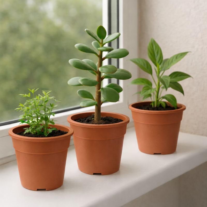 Image of Indian Gardens - 4 inch Indoor (Pack of 10) Plastic Small Colour pots | Plastic Plant Pot for Terrace Garden (Terracotta)