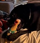 Review Image by Emily Orellana Emily Orellana