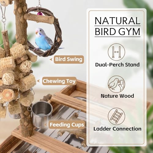 BRSLAIF Natural Wood Bird Perch Stand, Multi-Layer Parrot Playground Gym with Feeding Cups and Toys, Real Branch Activity Center for Cockatiels, Parakeets, Conures, Budgies, Tabletop and Cage Top Use - Thumbnail 3