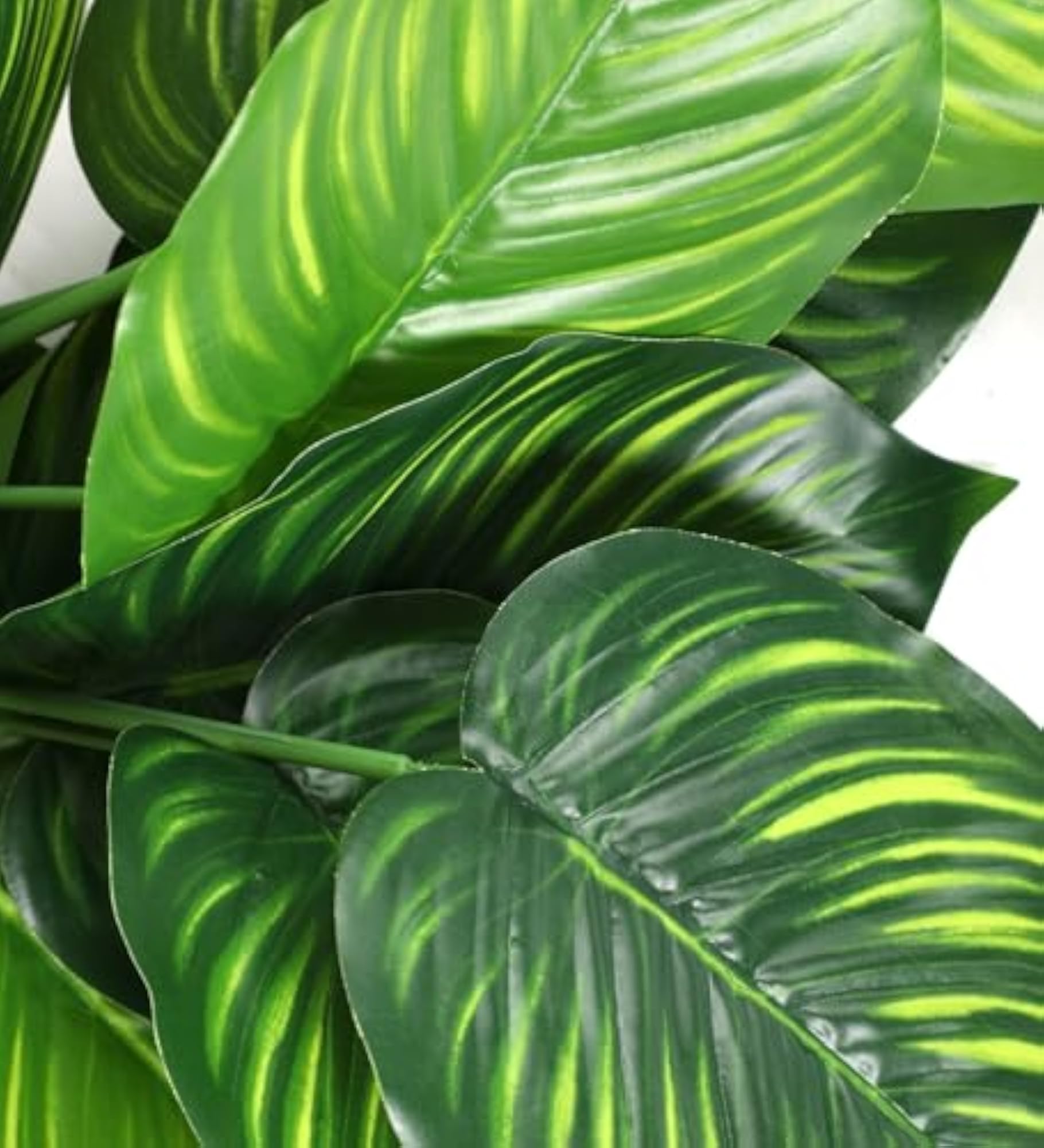 Artificial Money Plant Plastic Bunch, 55 cm