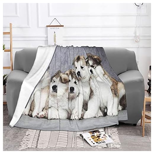 Kastfilt Alaskan Malamute valpar 2, sherpa-filt för barn män kvinnor mjuk varm filt för säng soffa soffa resor, 150 x 125 cm