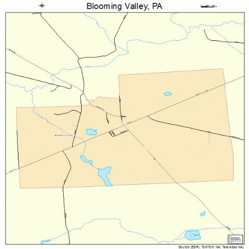 Large Street & Road Map of Blooming Valley, Pennsylvania PA Printed