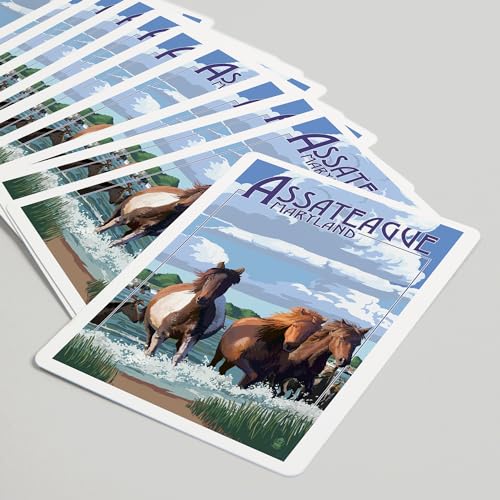 Juego de 52 naipes tamaño póker Assateague Maryland miniatura 5
