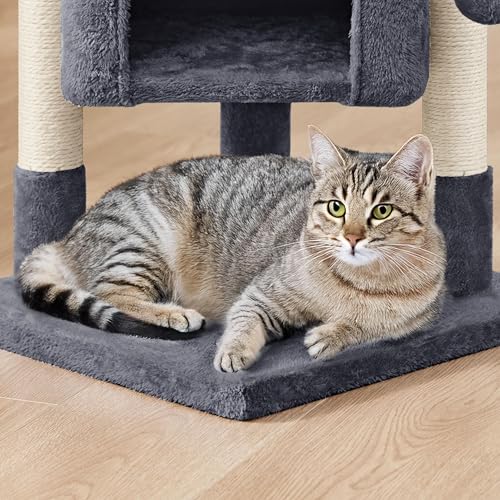 Yaheetech Kratzbaum 60 cm Kleiner Katzenkratzbaum, mit Katzenhöhle Plüsch Sisal, Katzenbaum Katzenmöbel Spielbaum für kleine Katzen, Dunkelgrau