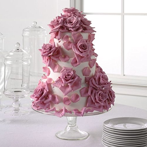 Rosalina - Kit di 20 Pezzi con 12 Stantuffi /