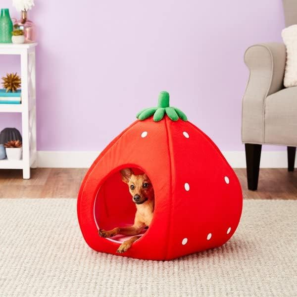 review YML Strawberry Pet Bed House for Cats, Dogs, Kittens, Puppies, Rabbits, Medium, Red