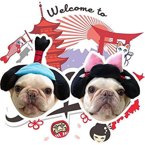 売り切れ♪犬用 かつら ハゲちゃびん サムライ パグ Pompreece 売り切れ♪犬用 かつら ハゲちゃびん サムライ パグ Pompreece