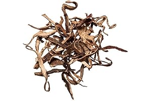 Qing Pi Chinese Herb: Enhance Health with Chen Pi's Amazing Benefits
