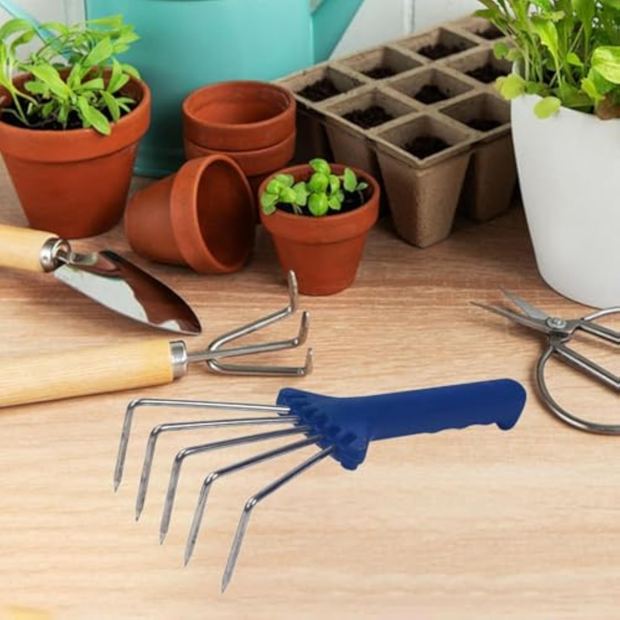 Compact Hand Rake for Weed Removal and Soil Loosening
